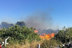 Fiamme alte sulla litoranea tra Molfetta e Giovinazzo