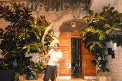 Il teatro che fa miracoli