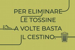 A Giovinazzo Despar Centro-Sud con Legambiente per la XXVIII edizione di "Puliamo il Mondo"