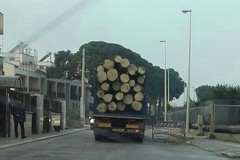 Lugo Terminal, la salvaguardia dell'ambiente viaggia su rotaia?