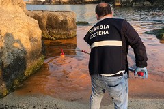 Un'alga tinge di rosso il mare, l'Arpa: «Nessun pericolo per la salute»