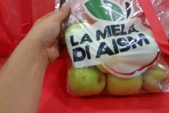 Le mele AISM in piazza Vittorio Emanuele II a Giovinazzo