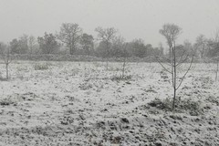 Gelo, allarme Coldiretti per verdure bruciate nelle campagne