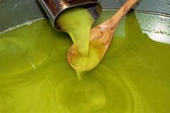 Olio, task force contro pratiche sleali