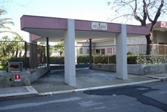 Allergie nei bambini, giovedì rimozione di alcune alberature dalla Scuola "Papa Giovanni XXIII"