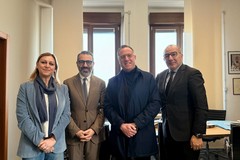 Xylella, incontro Regione–ANCI Puglia: condivise le strategie