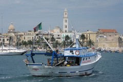 Fermo biologico in Adriatico fino al 26 settembre