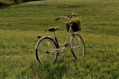 Torna "Pedalando per Casali" a Giovinazzo: sabato 1 agosto il revival della storica cicloturistica