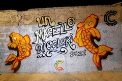 Domenica 4 settembre a Giovinazzo c'è “Un macello di colori”