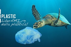 Un Consiglio comunale "plastic free": LED scrive alle istituzioni cittadine
