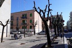 Potature non ortodosse: la denuncia e la proposta dell'Associazione Amici dell'Ambiente