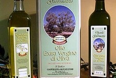 Cooperativa Olivicultori, Marzella nuovo presidente