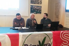 Caso "Papa Giovanni XXIII": le opposizioni chiedono lo stop al taglio degli alberi
