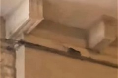 C'è un ratto in piazza Vittorio Emanuele II: sgomento tra i turisti (VIDEO)