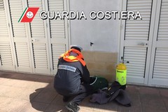 Pesca ricci nell'area protetta, multato un sub di Giovinazzo