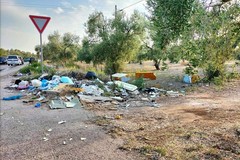 Rifiuti abbandonati su provinciali e statali, asse Depalma-Vitto per tavolo urgente