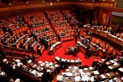 I risultati di Giovinazzo al Senato della Repubblica