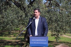 Silvestris non sarà eletto nonostante 25mila preferenze