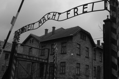 "Da Kragujevac ad Auschwitz": Giovinazzo celebra oggi il "Giorno della Memoria"