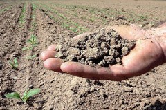 Siccità, scende ancora l'acqua negli invasi pugliesi