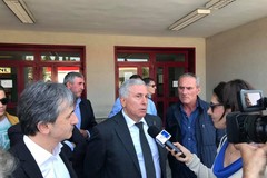 Disinformazione sulla Xylella, il Consorzio Nazionale Olivicoltori presenta un esposto in Procura