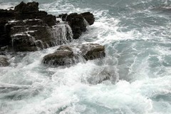 Forte vento e pioggia nella domenica giovinazzese