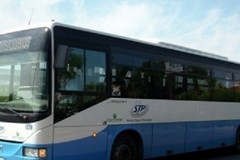 Ex SS Adriatica, autobus a velocità sostenuta