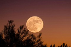 Visibile anche da Giovinazzo la Superluna piena del Castoro