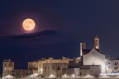 Giovinazzo sul podio del concorso "Wiki Loves Monuments"
