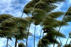 Allarme rosso per tsunami lanciato e rientrato