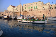 Trofeo dell'Adriatico 2016, si prepara la nuova stagione