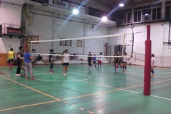 Volley Ball e Pegaso '93: «Insieme per crescere»