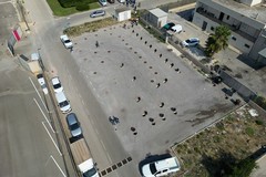 ASI Bari commissariata per inchiesta Molfetta. Vertici si dimettono