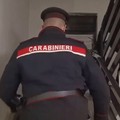 Droga, armi e furti, blitz a Molfetta. In manette un 23enne di Giovinazzo