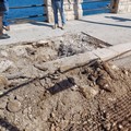 Nuove alberature sui lungomari: le parole del sindaco Sollecito - VIDEO