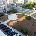 Piazzetta Cairoli, l'Associazione Carabinieri chiede l'intitolazione a Salvo D'Acquisto