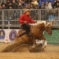 Reining Puglia, Tony Fiorentino è primo nella Limited Open