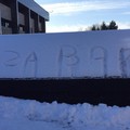 Da Giovinazzo a Glasgow con il Bari nel cuore