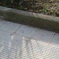 Siringa abbandonata a due passi ​dal De Pergola
