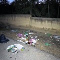Una pattumiera chiamata Cola Olidda