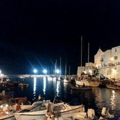 Domenica si accende Cala Porto: c'è la Regata dei Gonfaloni