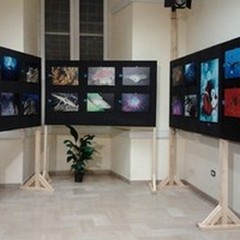 Cinque fotografi per mille colori marini