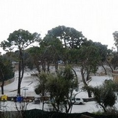 Neve nei dintorni, Giovinazzo si salva
