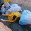 Offresi sediolina poco usata. Prezzi modici
