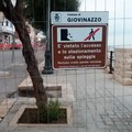 Lavori a Ponente, il Comune è parte civile contro la Codra Mediterranea