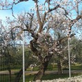 Pasquetta col sole su Giovinazzo