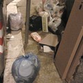 Sindaco, li stanghi per favore!