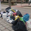 Una domenica tra i rifiuti (FOTO)
