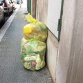 Ognissanti, varia il calendario della raccolta rifiuti