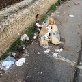 Il 18 febbraio ecomaratona in difesa dell'ambiente